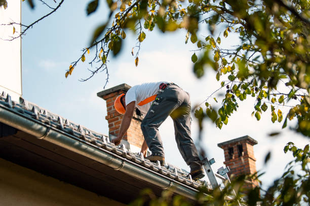 Best Roof Repair Specialists  in Mauston, WI