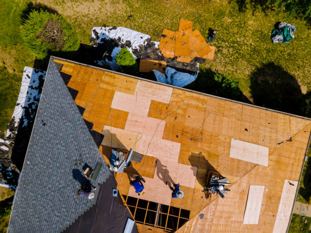 Best Local Roofing Companies  in Mauston, WI